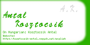 antal kosztocsik business card